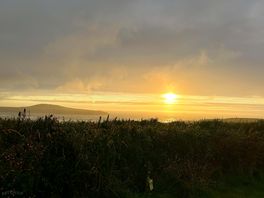 Unique view
