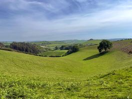 View down onto site