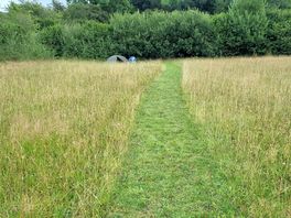Path to my tent