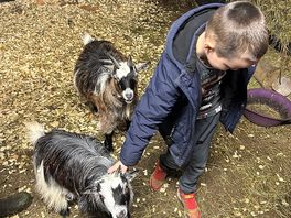 Goats
