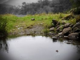 Small river