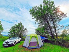 🏕