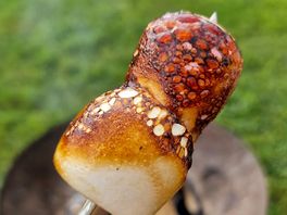 Toasted marshmallows