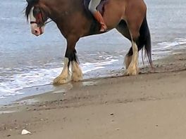 Nearby beach