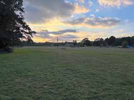 Evening view