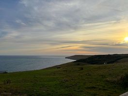 Our dog loved his walkies, straight from the site. stunning