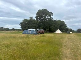 The field