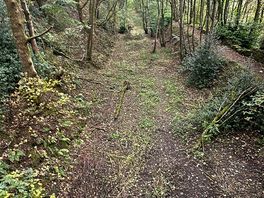 Walk