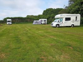 Grass pitches