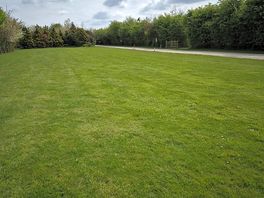 Entrance field