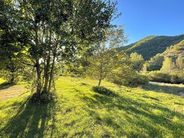 Towards river