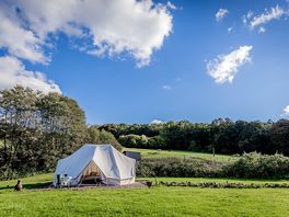 pheasant tent