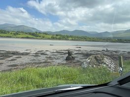 View 2 from motorhome