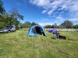 Massive pitch with electric
