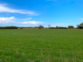 Grassy pitches