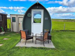 Dinsley pod