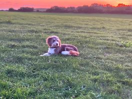 Peaceful sunset