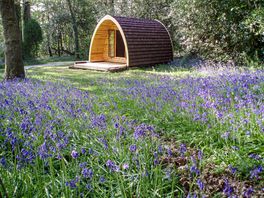 Camping pods