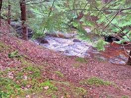 Local walk to explore gorge