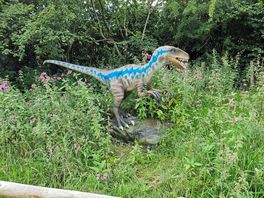 Dino