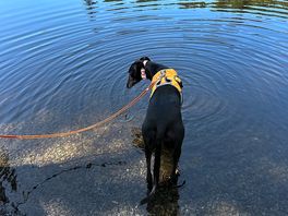 The lake we came across on our walk