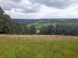 The view from our site