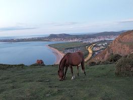 Walk view