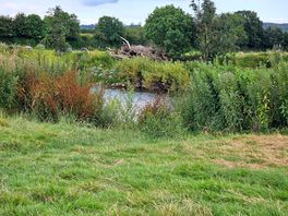 View to the river from the site