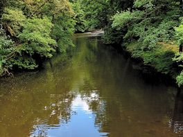 River drne view