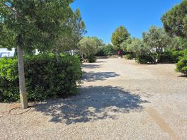 Plot views