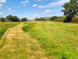 The large enclosed dog field