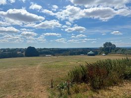 Camping field
