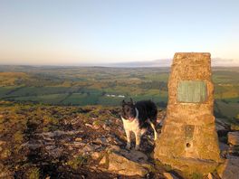 Top of high wheeldon