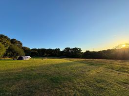 Sunset over the meadow