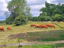 Lovely rural location.