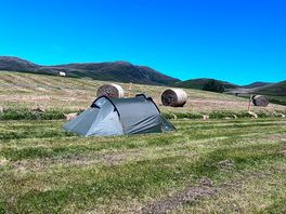 Tent set up on the side of the field.