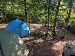 Our spot
