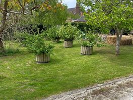 Beautiful gardens