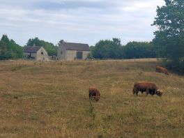 Wenlock edge caravan and camping