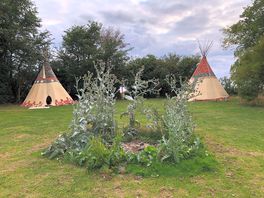 The site