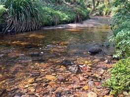 River in the park