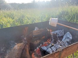 Fire pits provided on each pitch...