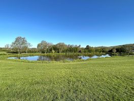 Fishing lake made a beautiful setting