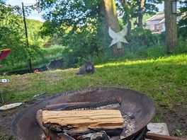 Campfire