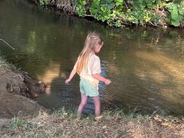 Beautiful stream to paddle in