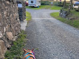 The evening views