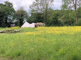 Spacious pitches