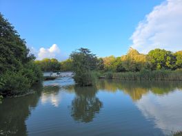 Fishing lakes