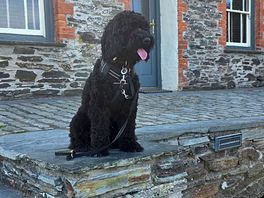 Opie at doc martins house