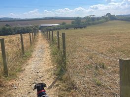 Lovely walk to the local village